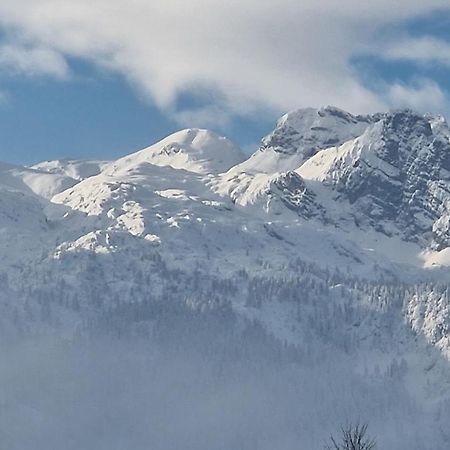Moosgut Lägenhet Abtenau Exteriör bild